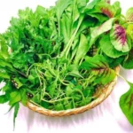 Rau tập tàng